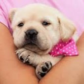 Людмила Королева